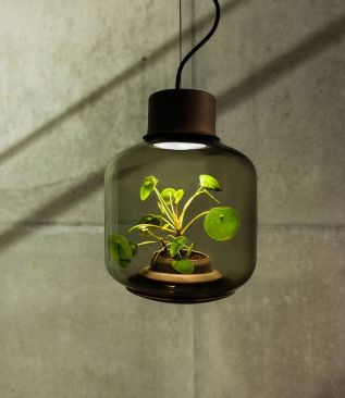 Plant Lamp  прибор, работающий от комнатного растения