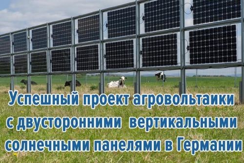 Успешный проект агровольтаики в Германии с двусторонними вертикальными солнечными панелями