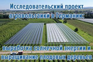 Исследовательский проект агровольтаики в Германии -  выработка солнечной энергии и выращивание плодовых деревьев